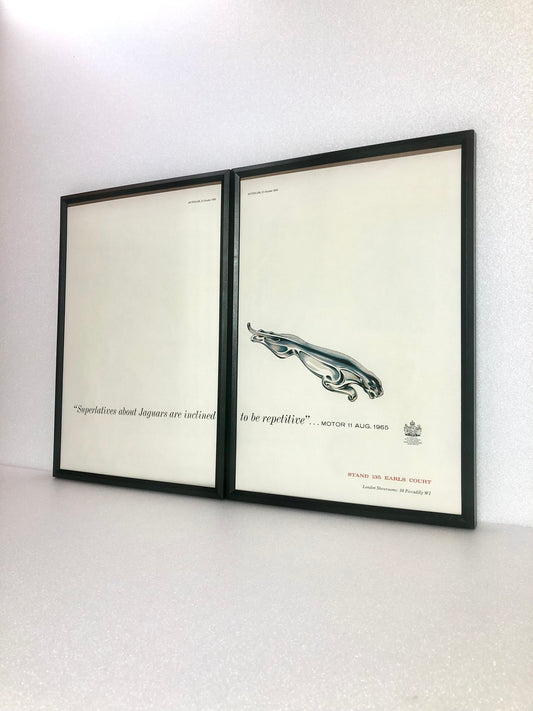Extremely Rare Original Jaguar Advert - 1965
